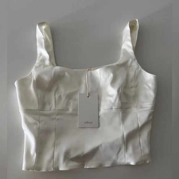 Aritzia corset top - Picture 1 of 5